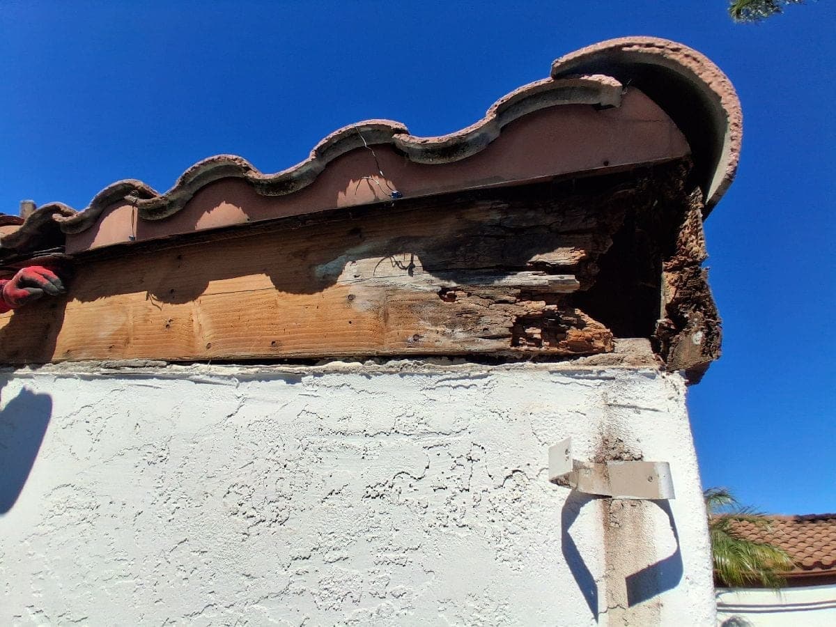Damaged fascia and roof-edge wood caused by neglected gutter maintenance